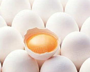 餐饮特供蛋液质量保证，安全方便经济！